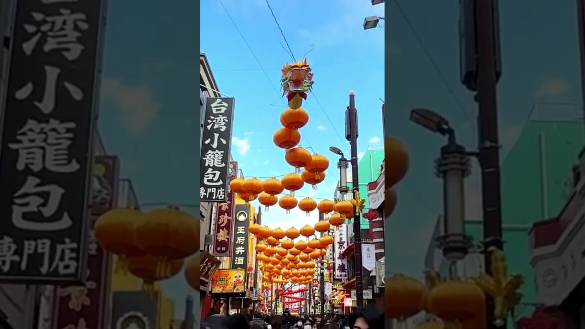 🧧 Japan Chinatown Lunar New Year 🧧 日本橫濱中華街大年初一 #Japan #chinatown #中華街 #travel