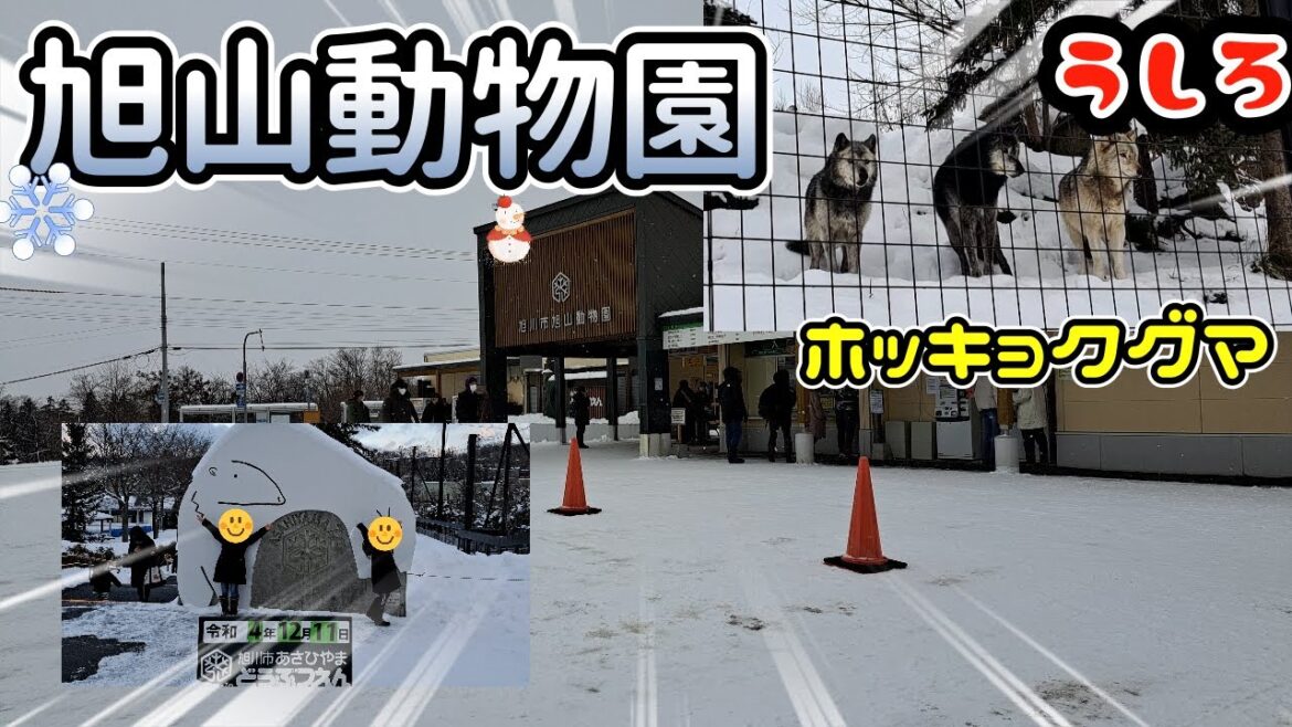 北海道観光旭川編～旭山動物園～後編