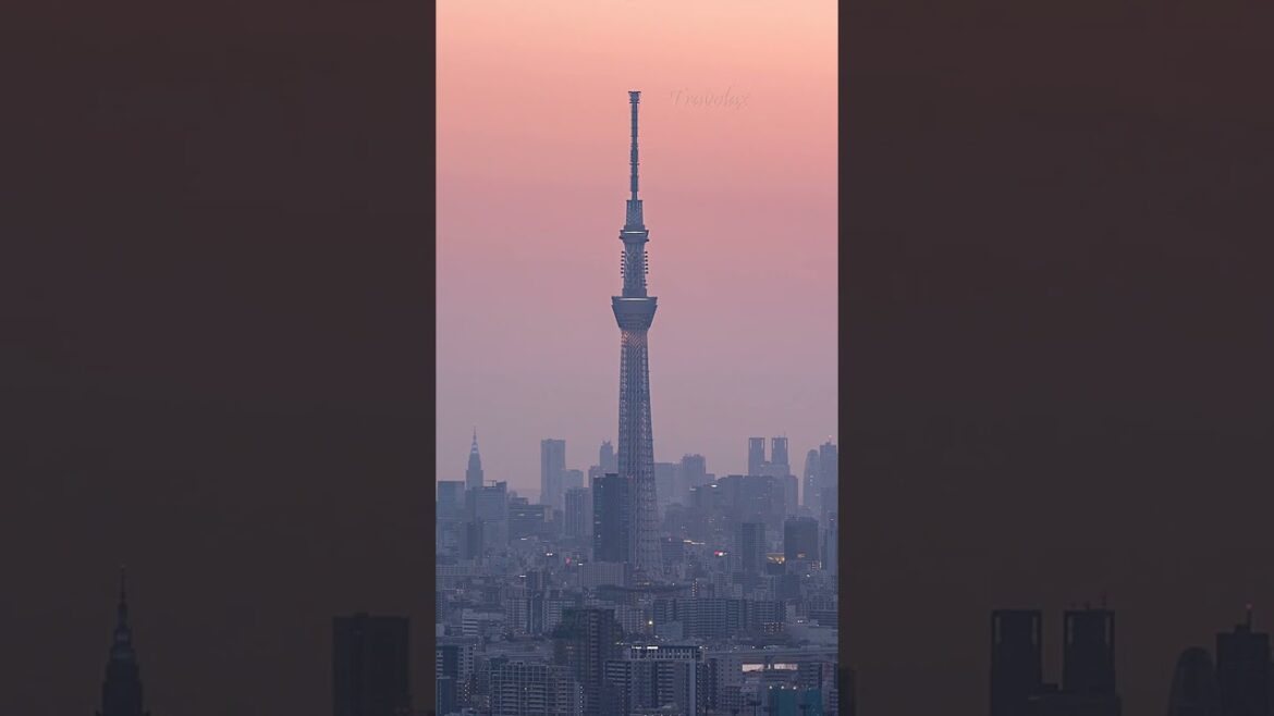 TOP 5 Best Things to Do in Tokyo ✨