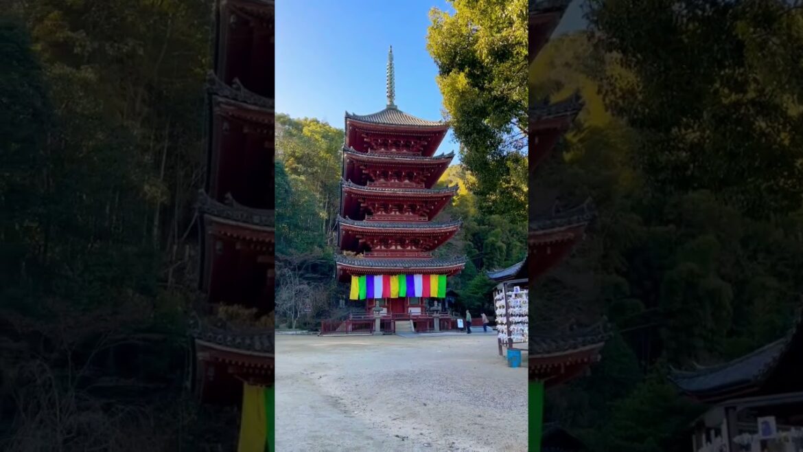 福山市明王院。　#福山市 #福山アンバサダー #fukuyama #japan #cooljapan #fukuyamacity #shorts  #hiroshima #神社 #神社仏閣 #明王院