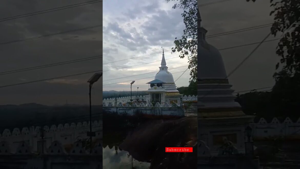 #shorts The Best 💕🤟💕💚 Sri Lanka's beautiful landscape #youtubeshorts 💕🤟 #vairal 🌍Travel world