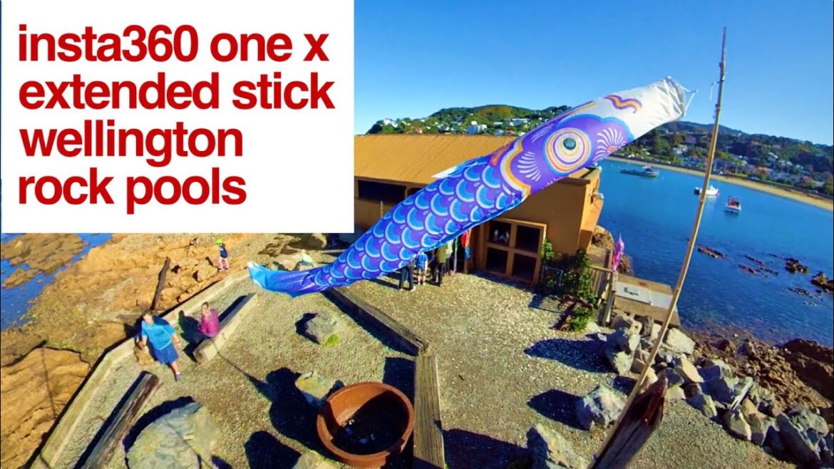 Insta360 One X Travels in New Zealand: Wellington Rocky South Coast