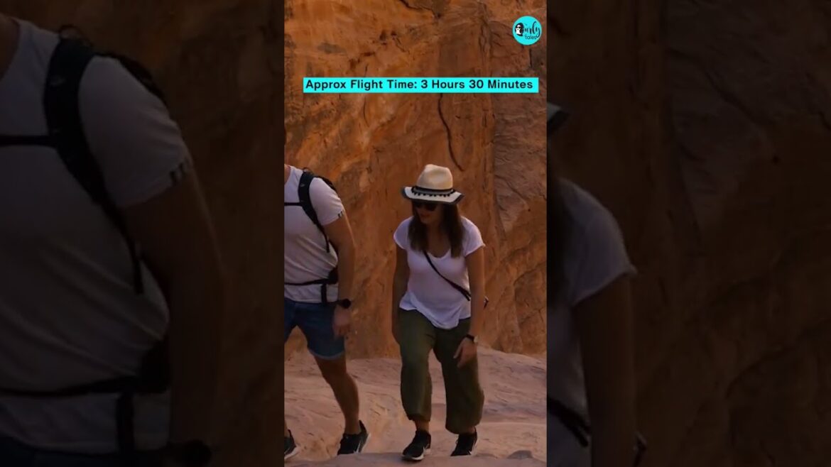 Last Minute Weekend Trips From UAE #shorts #dubai #curlytales #uae #newyear #newyear2022 #ytshorts