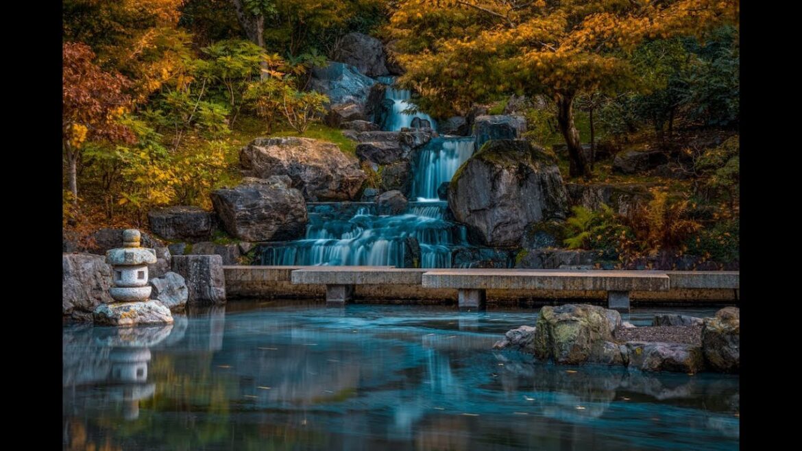 The Kyoto Garden, London, UK.