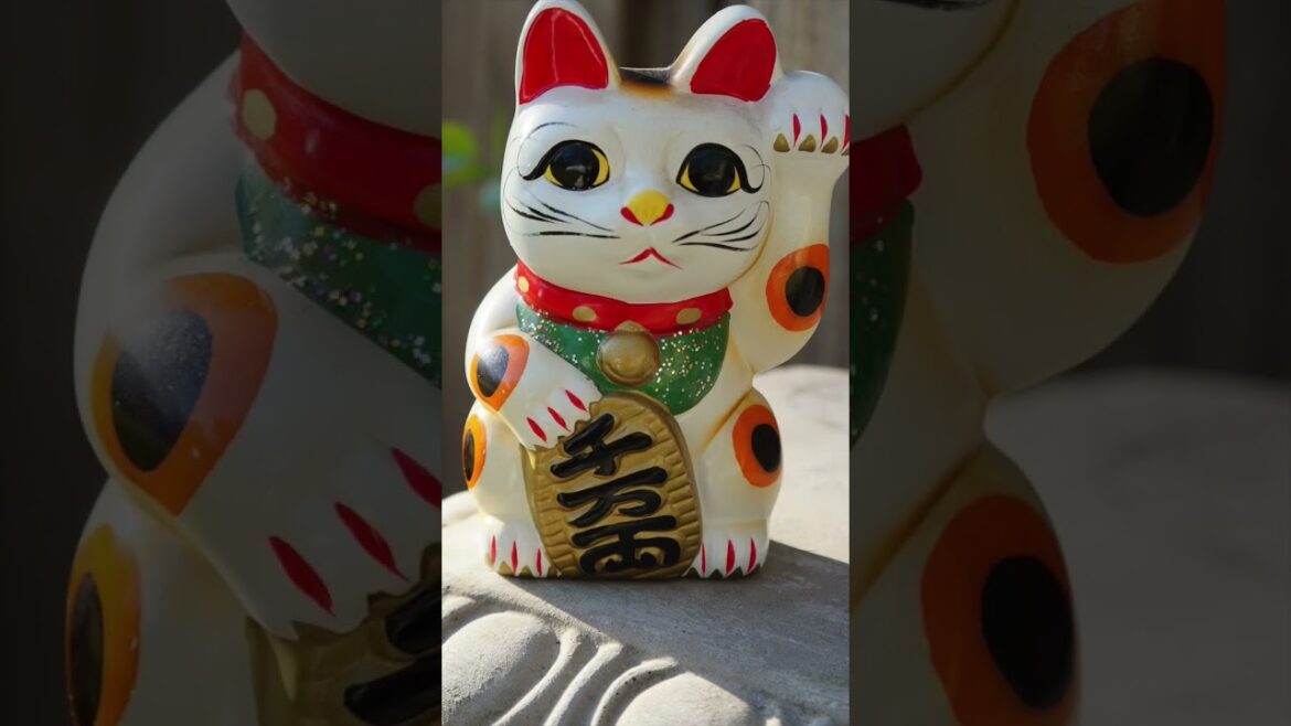 Top Places to Visit in Asia (Japan) – Travel Video Top Places to Visit in Asia (Japan) - Travel Video