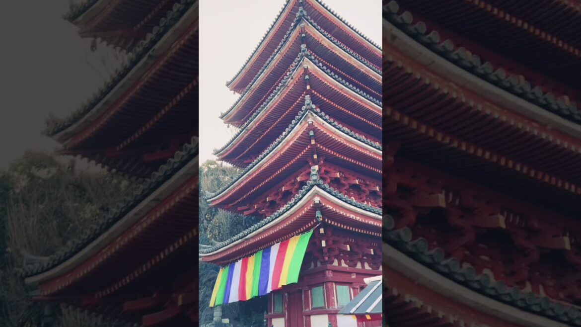 福山市明王院。 #福山市 #福山アンバサダー #fukuyama #japan #cooljapan #fukuyamacity #shorts #hiroshima #神社 #神社仏閣 #明王院 福山市明王院。 #福山市 #福山アンバサダー #fukuyama #japan #cooljapan #fukuyamacity #shorts #hiroshima #神社 #神社仏閣 #明王院