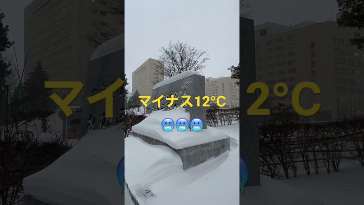 令和5年1月25日AM0715、札幌医科大学、気温マイナス12℃、猛吹雪 #shorts #札幌医科大学 #雪 #寒い #吹雪