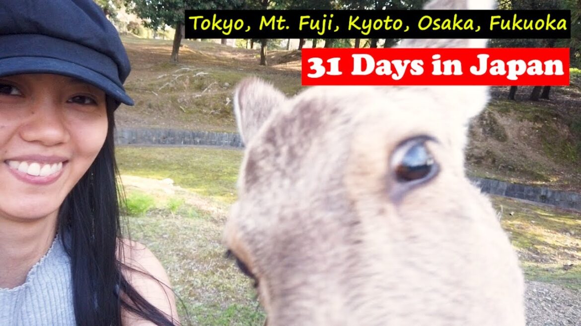 31 Days in Japan ⛩️ The Ultimate Japan Travel Vlog ⛩️ Explore Japan, Episode 28 31 Days in Japan ⛩️ The Ultimate Japan Travel Vlog ⛩️ Explore Japan, Episode 28