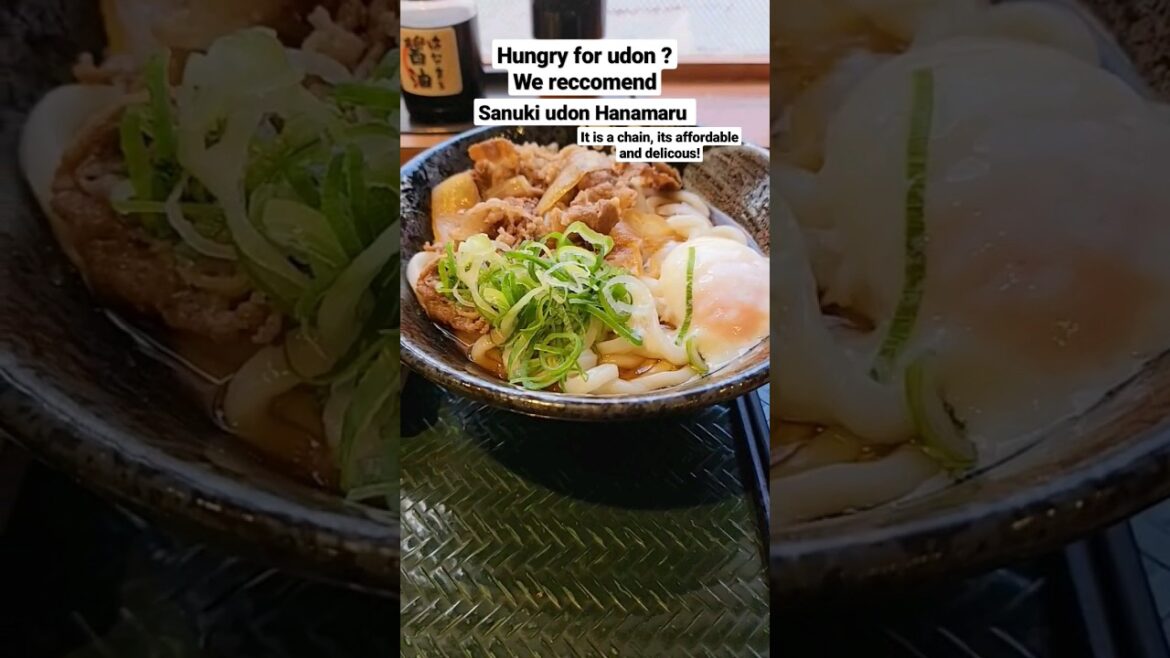 Hungry for Udon add this to your Japan travel itinerary for 2023 Hanamaru