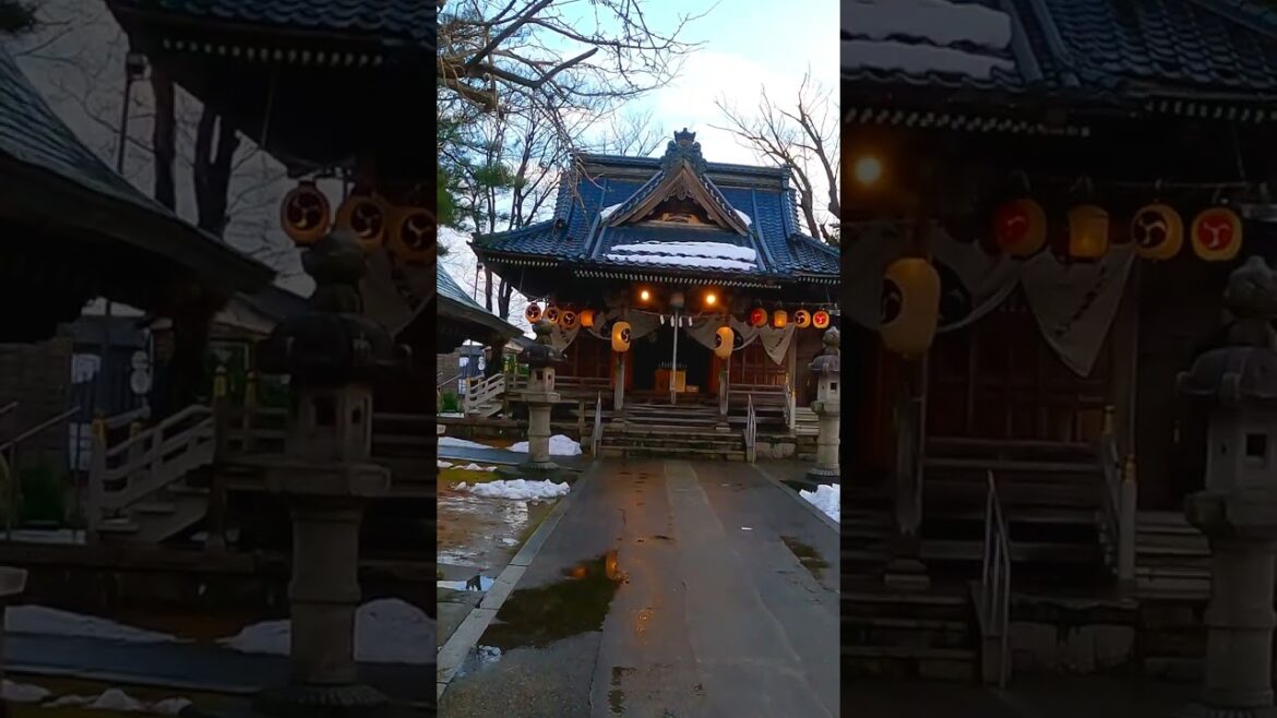 New Year's Japanese Shrine #japan #shorts