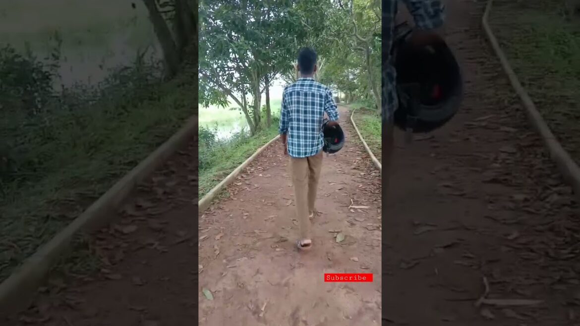 #shorts The Best 💕🤟💕💚 Sri Lanka's beautiful landscape #youtubeshorts 💕🤟 #vairal