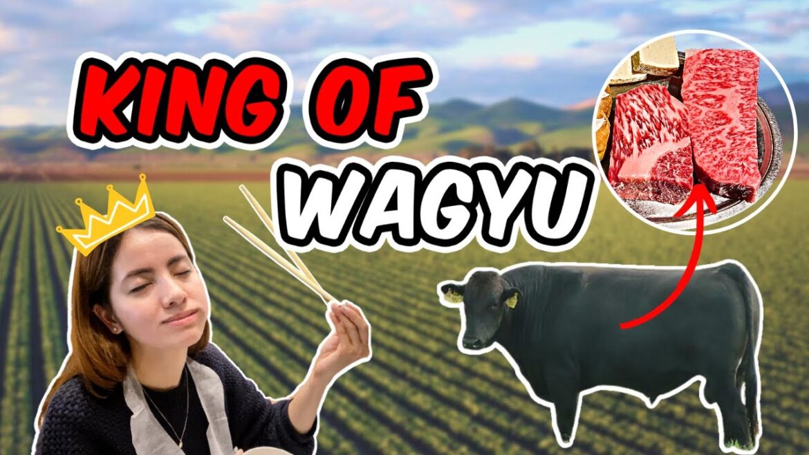 KOBE BEEF in JAPAN 🇯🇵 Is it worth the Price?! | Mari Soriano