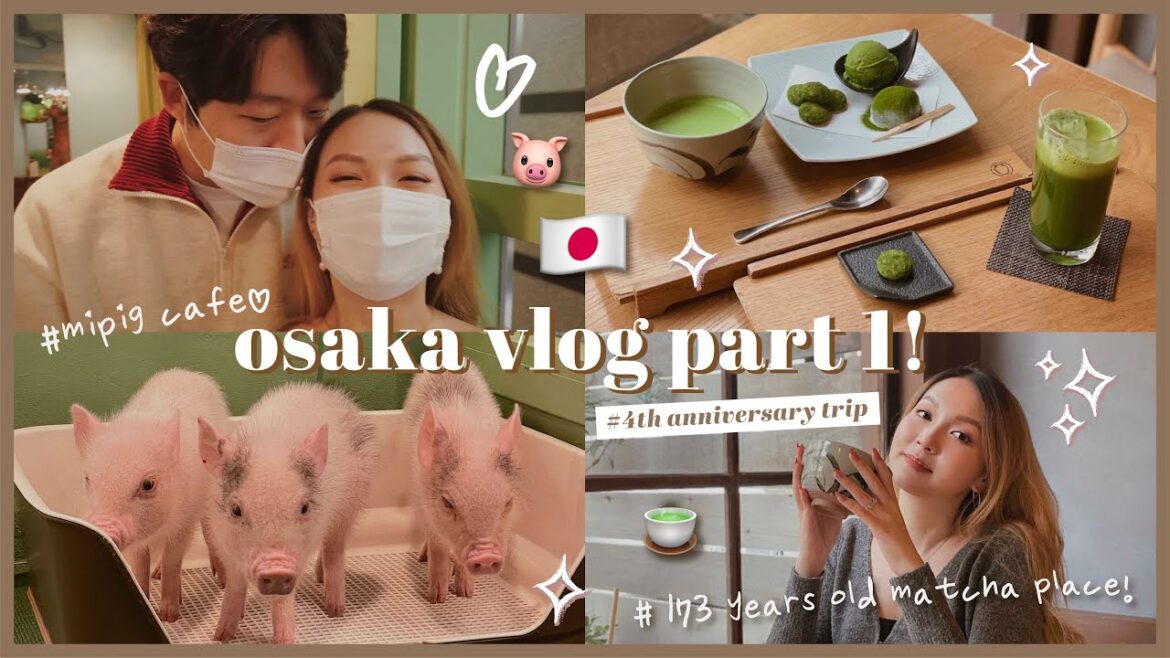 ๐ ๐๐๐๐๐ ๐๐๐๐! ๐ฏ๐ต ๅฉๅพ็ฌฌไธๅๆ
่กโ๏ธ ๆ173ๅนดๆญทๅฒ็่ฃฝ่ถๆฌ่๏ผ๐ต ็ตๆผๅปไบๅฏๆ็ธ็mini pig cafe๐ฅบโค๏ธ ่ฑฌ่ฑฌๅ้ฝ่ถ
ๅๆญกๆ็๐ฝ | MooonQueenie ๐ ๐ *๐๐๐๐๐ ๐๐๐๐!* ๐ฏ๐ต ๅฉๅพ็ฌฌไธๅๆ
่กโ๏ธ ๆ173ๅนดๆญทๅฒ็่ฃฝ่ถๆฌ่๏ผ๐ต ็ตๆผๅปไบๅฏๆ็ธ็mini pig cafe๐ฅบโค๏ธ *่ฑฌ่ฑฌๅ้ฝ่ถ
ๅๆญกๆ็๐ฝ* | MooonQueenie ๐