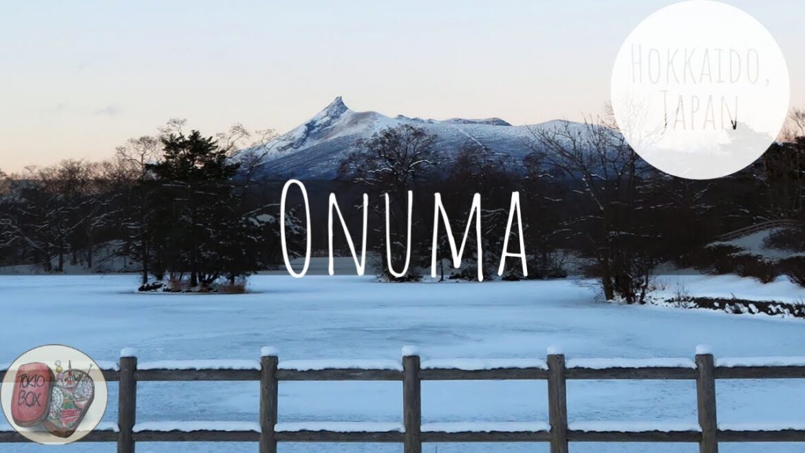 We Stayed at the Fanciest Hotel in Japan! (with subtitles)