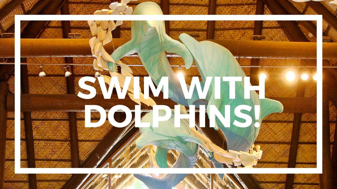 SWIM WITH DOLPHINS AT SEA WORLD DISCOVERY COVE SWIM WITH DOLPHINS AT SEA WORLD DISCOVERY COVE