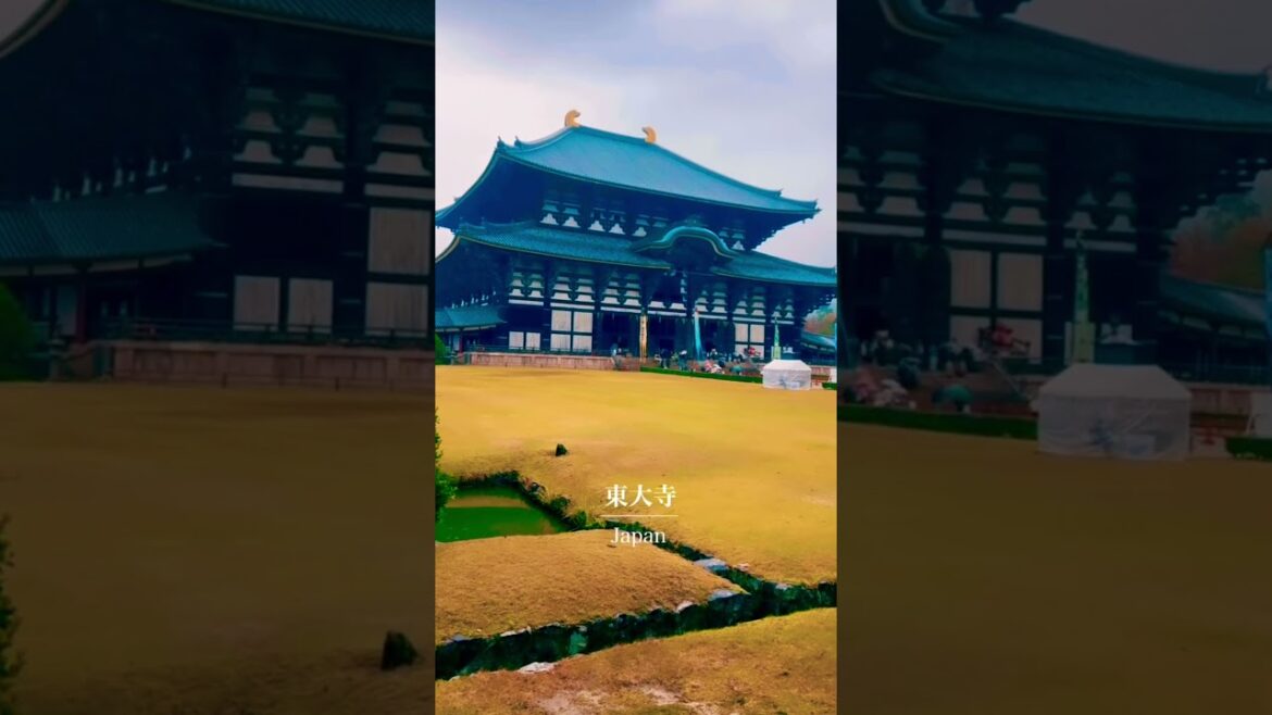 Rich Culture & a Beautiful Country 🇯🇵😍 Rich Culture & a Beautiful Country 🇯🇵😍