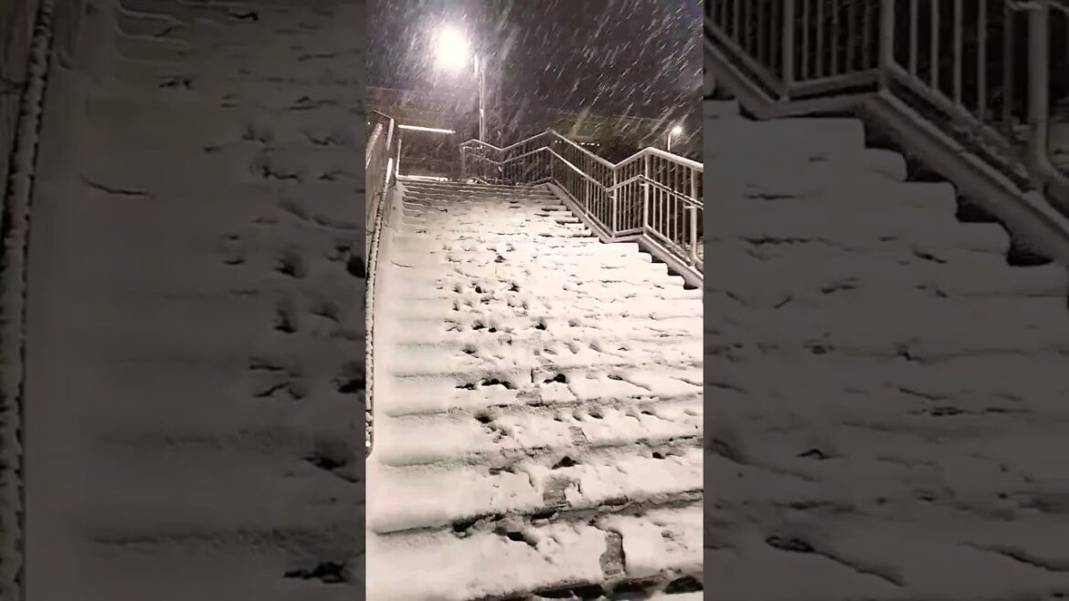 first day ❄️❄️❄️in Kyoto Japan #shorts #snow #kyoto #japan #youtube #youtubeshorts #foryou #freefire