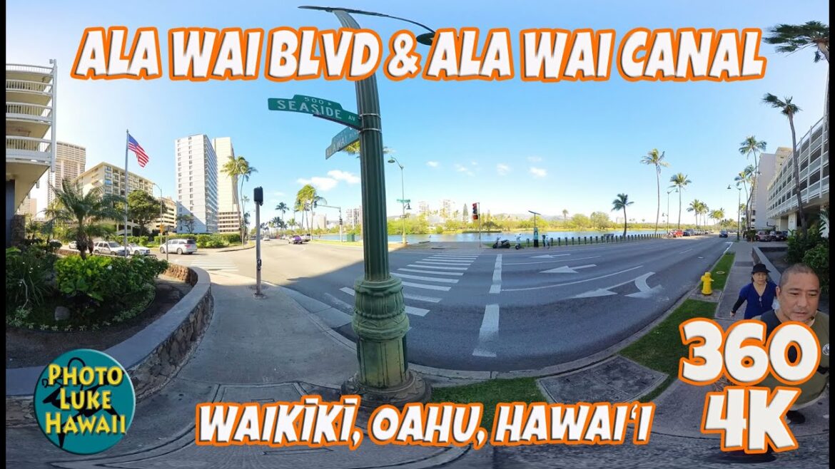 Waikiki Ala Wai Blvd & Ala Wai Canal 360 Walk January 13, 2023 Oahu Hawaii Virtual Walk ワイキキ  ハワイ