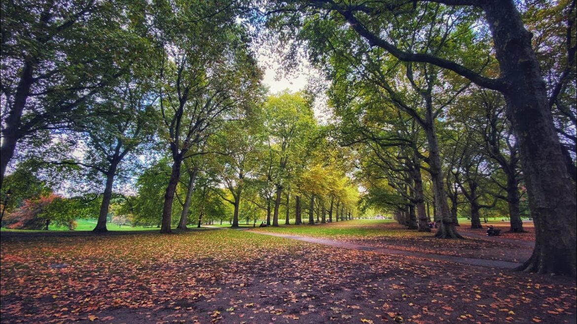 Walking Tour through some of London’s beautiful parks.
