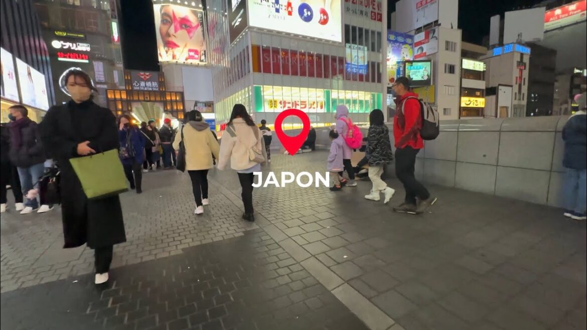 Tour du monde en 180 jours- JAPON - Tokyo - Kyoto - Nara - Osaka