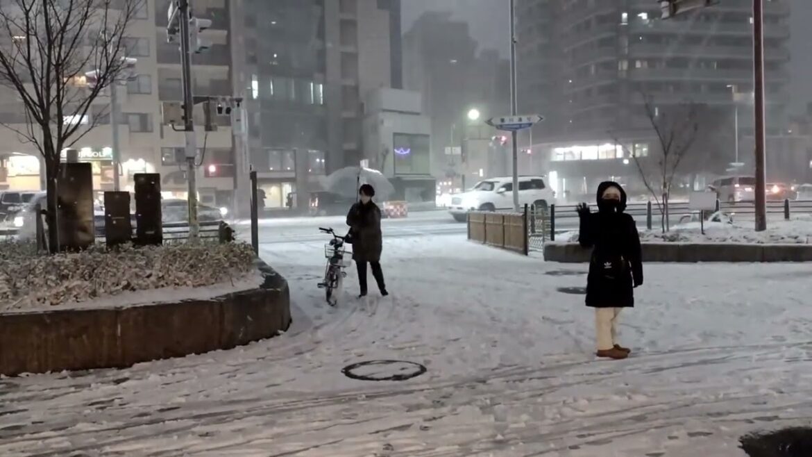 Kyoto Snow Day - Day 9 - Japan Travel 2023 [ASMR - CAPTIONS ON] | CLUB PROFESSIONALS