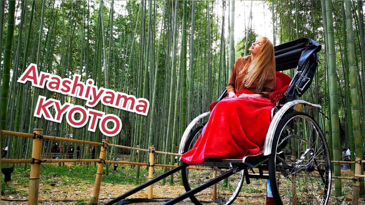 Adeyto @ ARASHIYAMA Bamboo Grove KYOTO style Ebisuya Rickshaw ride 🎬 Huawei P20 PRO