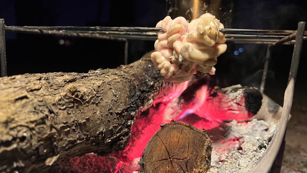 失敗、忘れ物、トラブル続きでも楽しいソロキャンプ。 失敗、忘れ物、トラブル続きでも楽しいソロキャンプ。