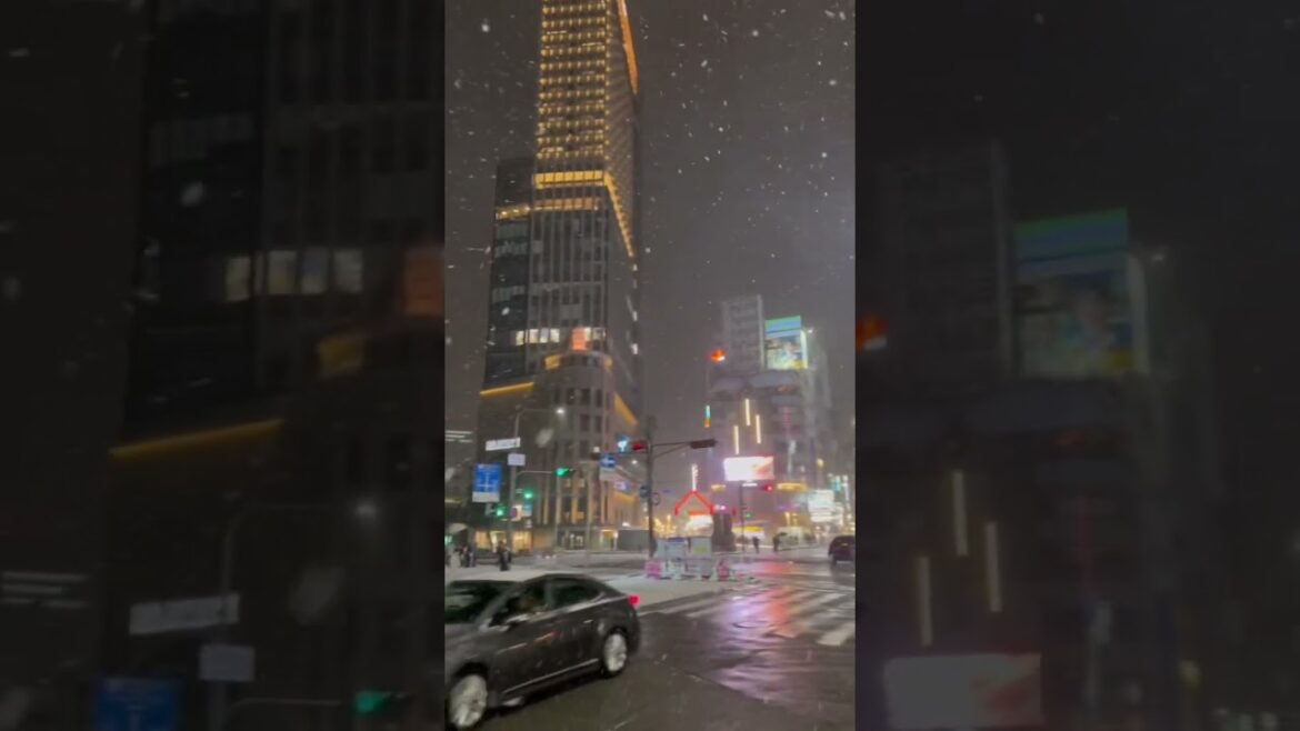 Snow in Japan 🇯🇵 | 24/01/2023