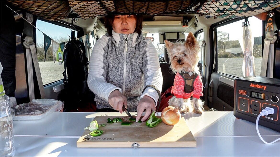 Cooking In A Little Camper Van In Japan [ Kei Van, Rice Maker, Yorkie ]