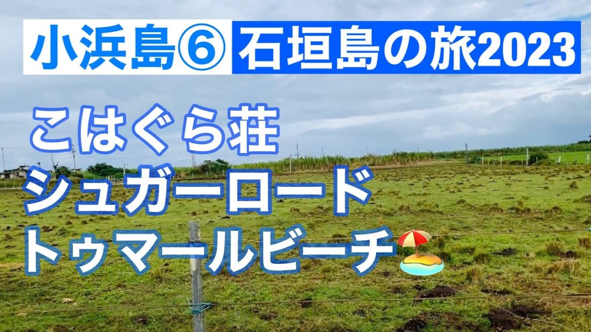 小浜島⑥/こはぐら荘・シュガーロード・トゥマールビーチ/石垣島の旅2023/Kohama Island, okinawa, Japan 小浜島⑥/こはぐら荘・シュガーロード・トゥマールビーチ/石垣島の旅2023/Kohama Island, okinawa, Japan