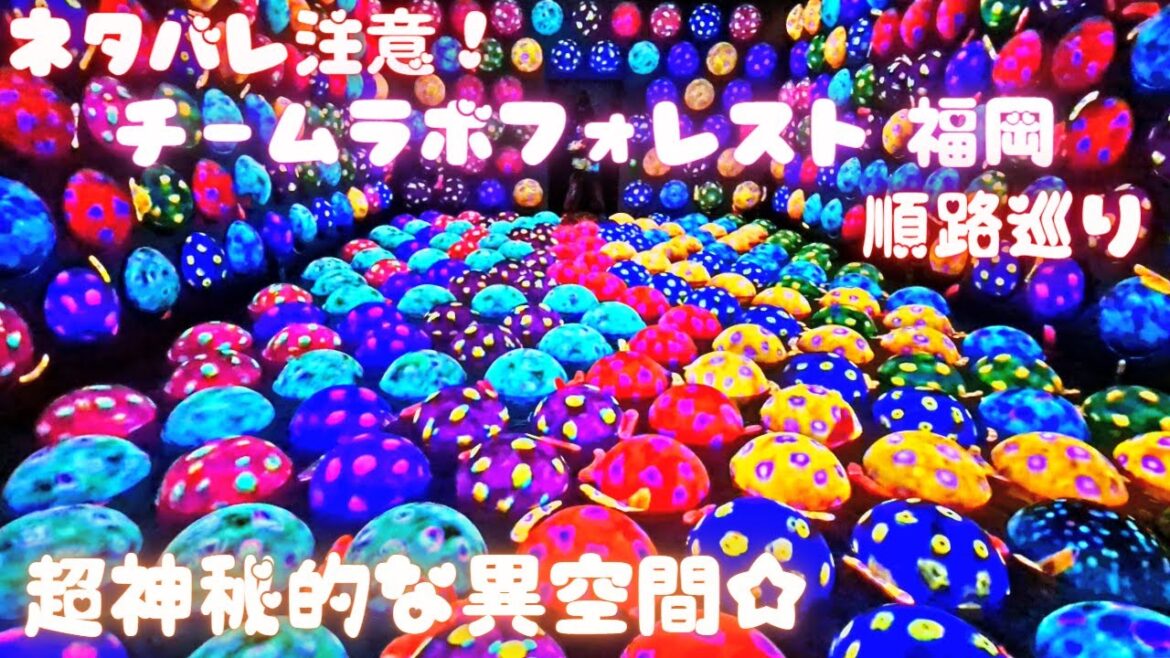 【ネタバレ注意‼】超神秘的な異空間☆チームラボフォレスト 福岡 順路巡り / EZO FUKUOKA 5F / まるでポケモンGO 福岡デートスポット #旅 #福岡旅行 #Travel #Japan 【ネタバレ注意‼】超神秘的な異空間☆チームラボフォレスト 福岡 順路巡り / EZO FUKUOKA 5F / まるでポケモンGO 福岡デートスポット #旅 #福岡旅行 #Travel #Japan