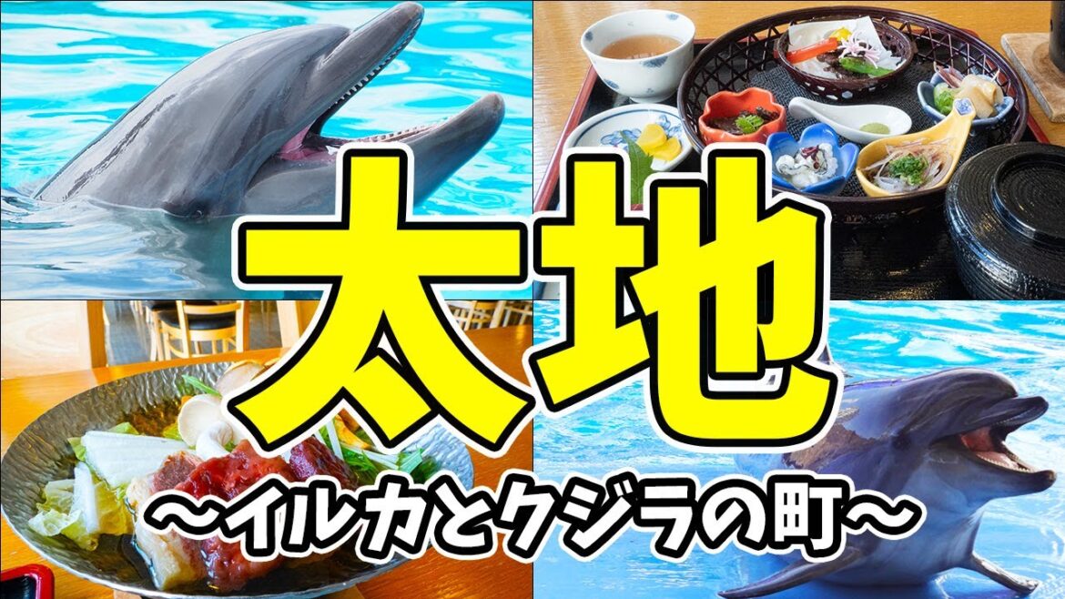 【和歌山県・太地町】文化を否定された町