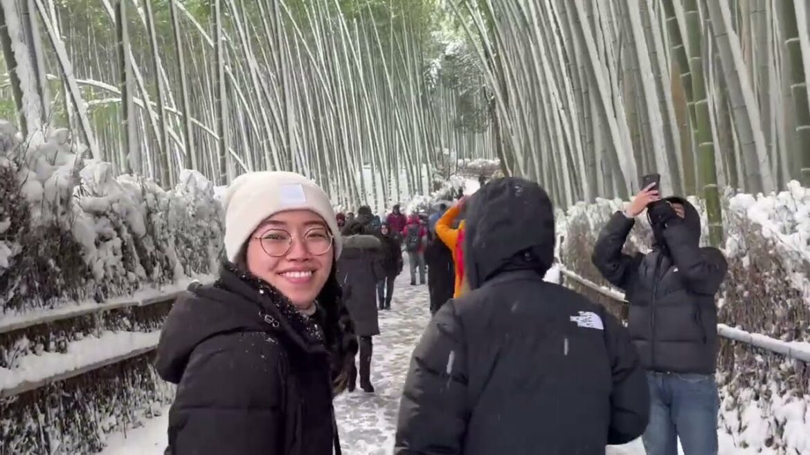 Arashiyama Bamboo Forest - Day 10 - Japan Travel 2023 [ASMR - CAPTIONS ON] | CLUB PROFESSIONALS
