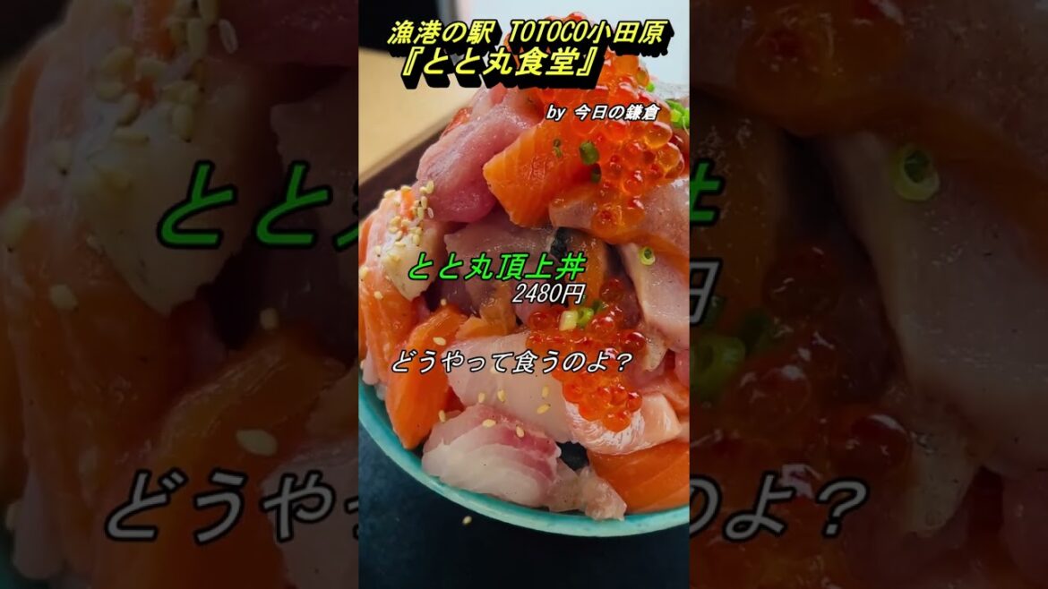 【今日の鎌倉＠遠征】TOTOCO小田原『とと丸食堂』で"頂上丼"をいただく#shorts