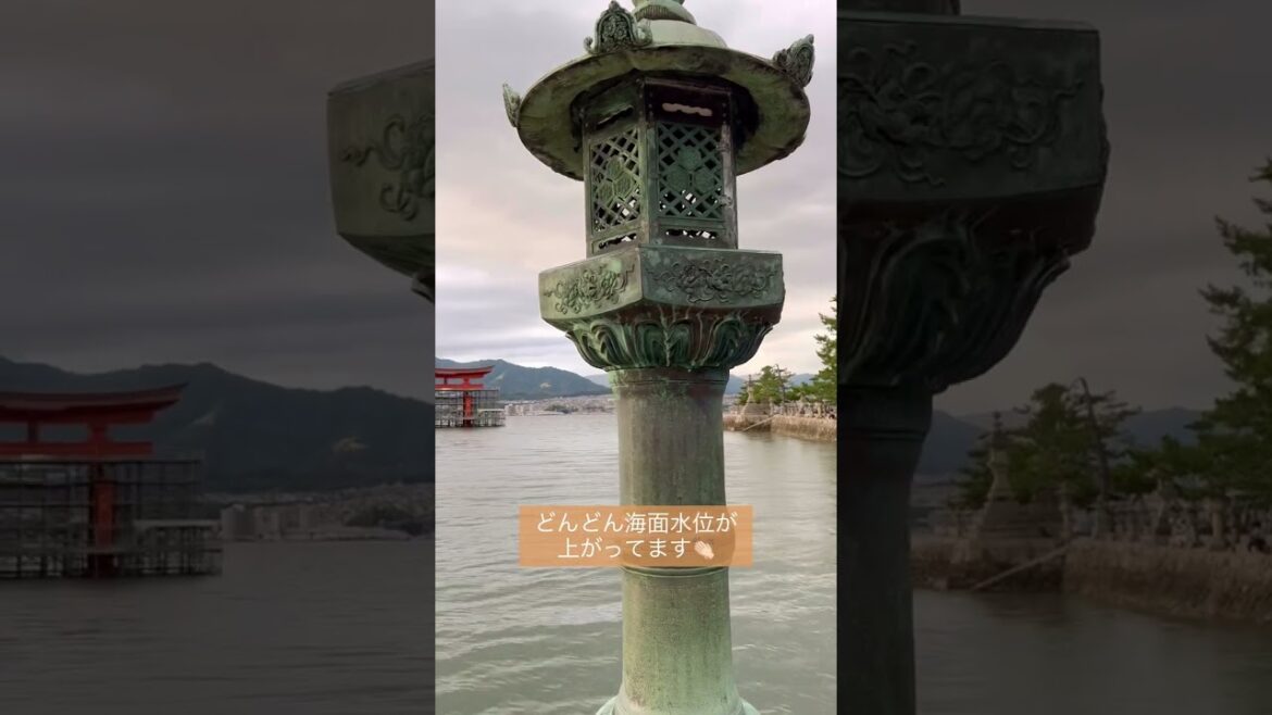 【やっぱここ！】厳島神社(広島)宮島へ / Travel to Hiroshima Miyajima #shorts