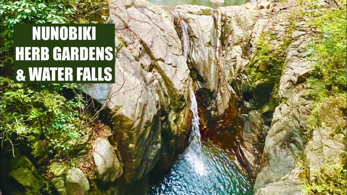A Day at Nunobiki Herb Gardens and Waterfalls in Kobe #kobejapan #japantravel #japan2023