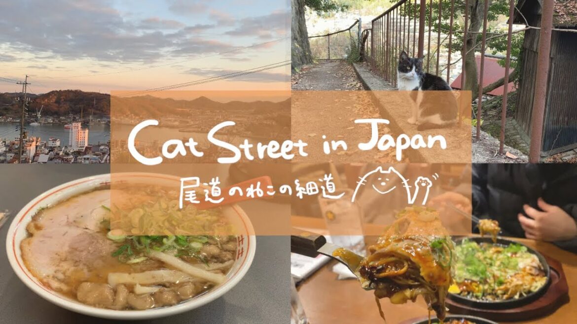 【Japan vlog】cat street in Onomichi | Hiroshima | Ramen | Japanese food | Seto island Sea
