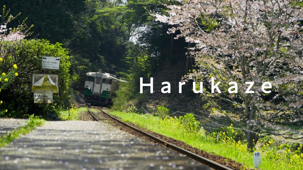 Harukaze | 春の小湊鉄道 | Travel Cinematic Vlog | Sony α6600