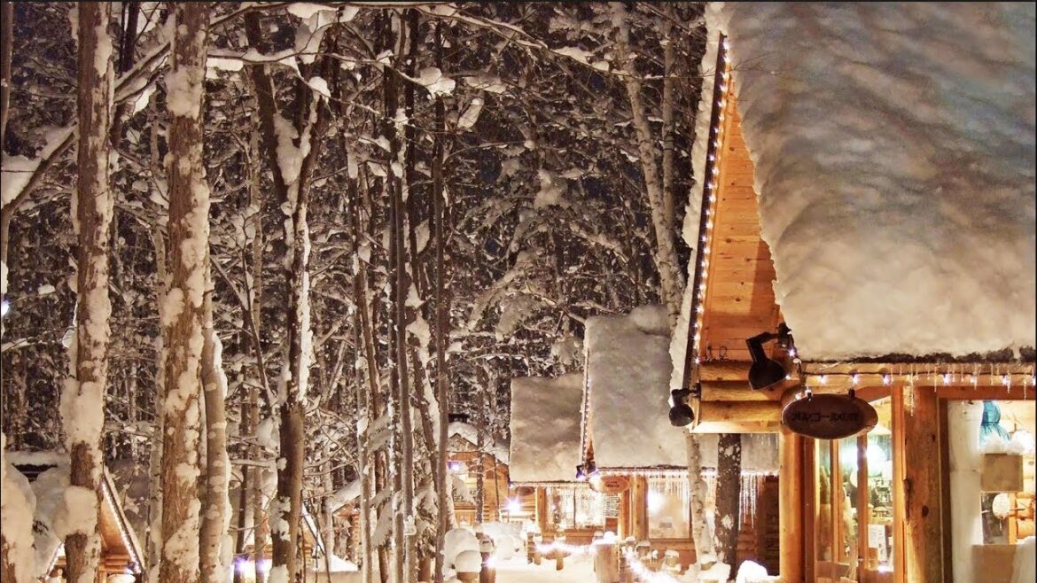 2018 日本冬遊記 Day3  旅程新體驗之前進富良野  日本自助旅遊分享 #JR富良野#森林精靈露台#新富良野王子飯店