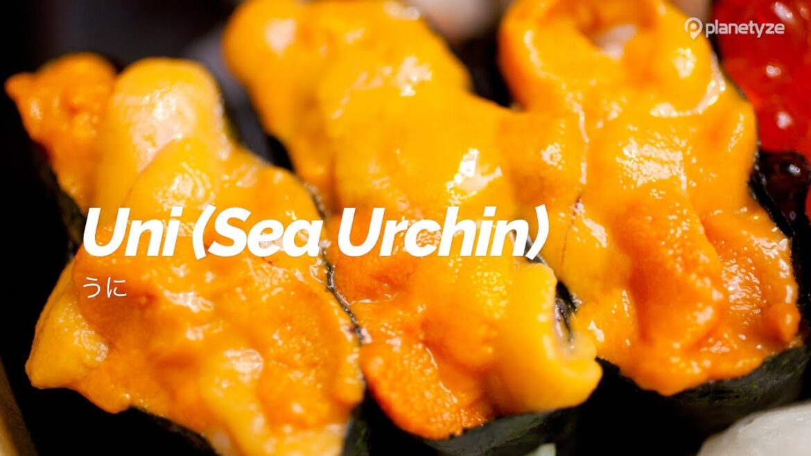 Uni (Sea Urchin) | Japan Travel Guide