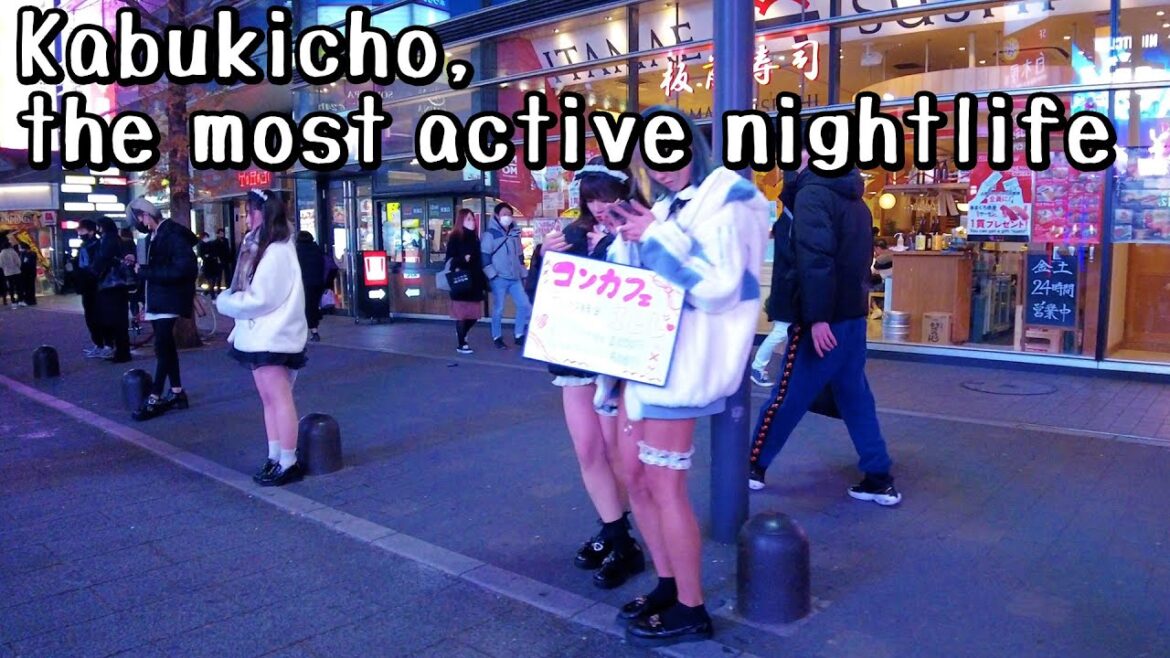 Tokyo Walk, Liven up your Night in Kabukicho|red light area district Japan 東京 歌舞伎町 4k Tokyo Walk, Liven up your Night in Kabukicho|red light area district Japan 東京 歌舞伎町 4k