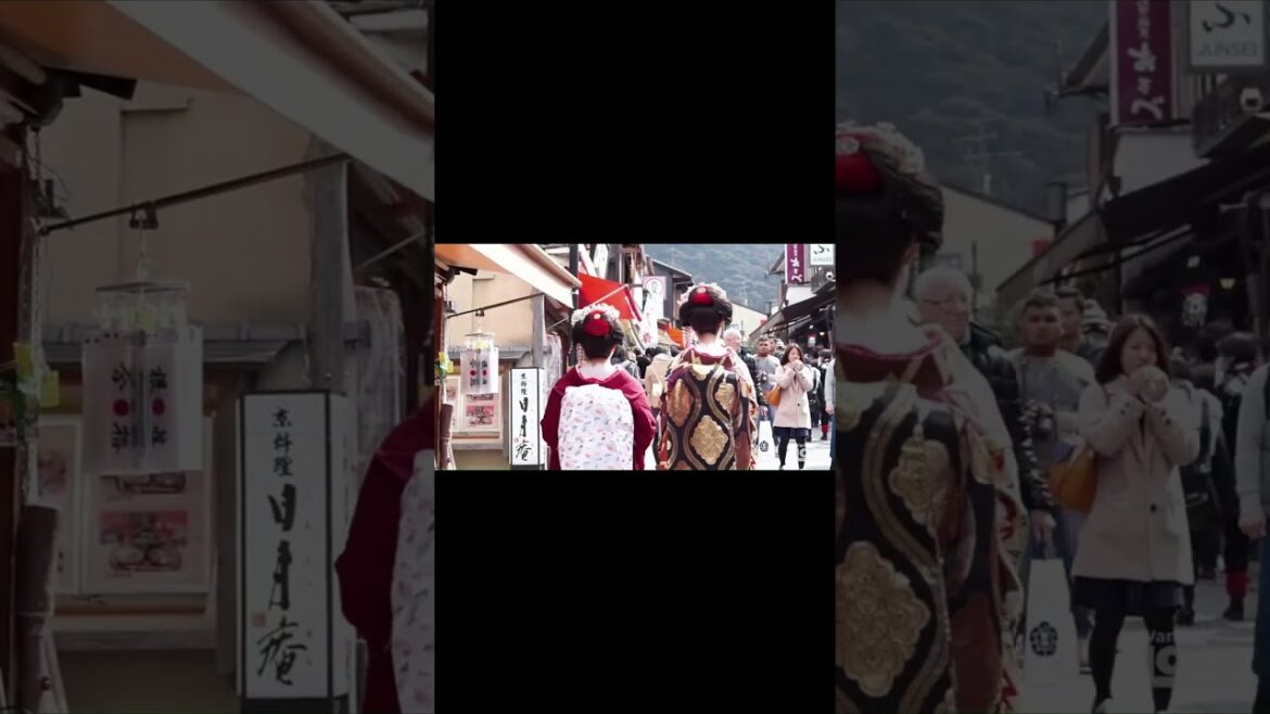 Newest JAPAN TRAVEL GUIDE YOU'VE NEVER SEEN @wanderfullylost2017 #shorts