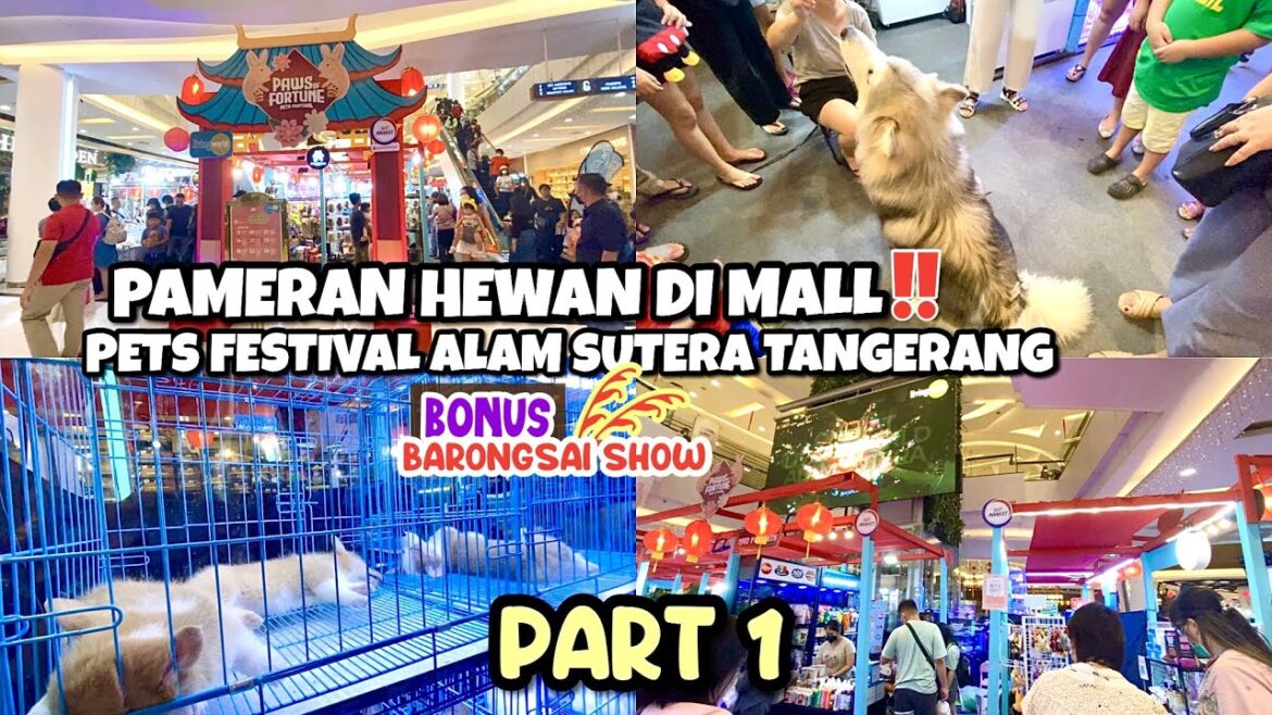 PAMERAN HEWAN DI MALL‼️ PETS FESTIVAL ALAM SUTERA TANGERANG | BARONGSAI SHOW BONUS | PART 1 PAMERAN HEWAN DI MALL‼️ PETS FESTIVAL ALAM SUTERA TANGERANG | BARONGSAI SHOW BONUS | PART 1
