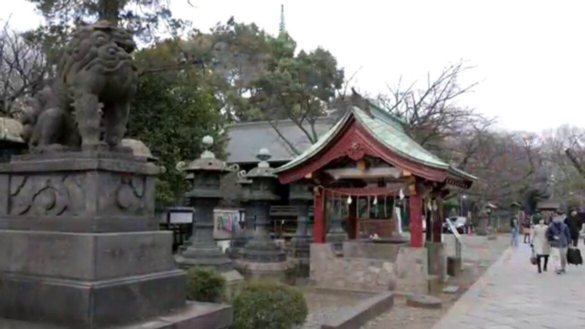 Sakura in Tokyo 2015 (4K)