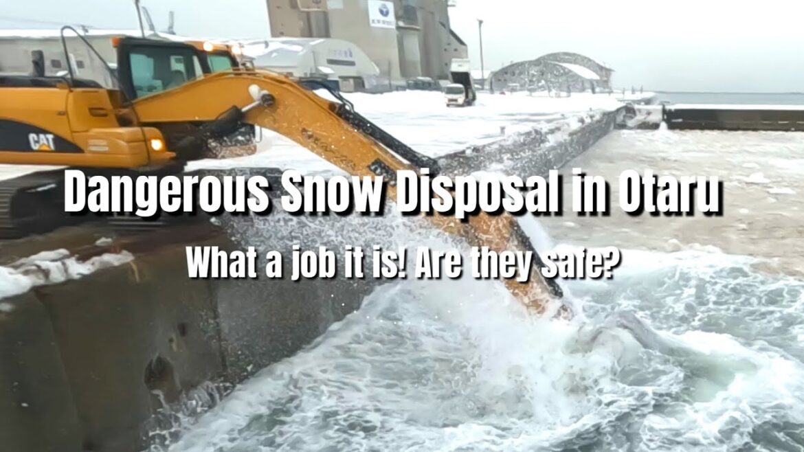 危険な除雪/排雪作業 |ユンボ、除雪ホイールローダ、ダンプ| 小樽、北海道 危険な除雪/排雪作業 |ユンボ、除雪ホイールローダ、ダンプ| 小樽、北海道