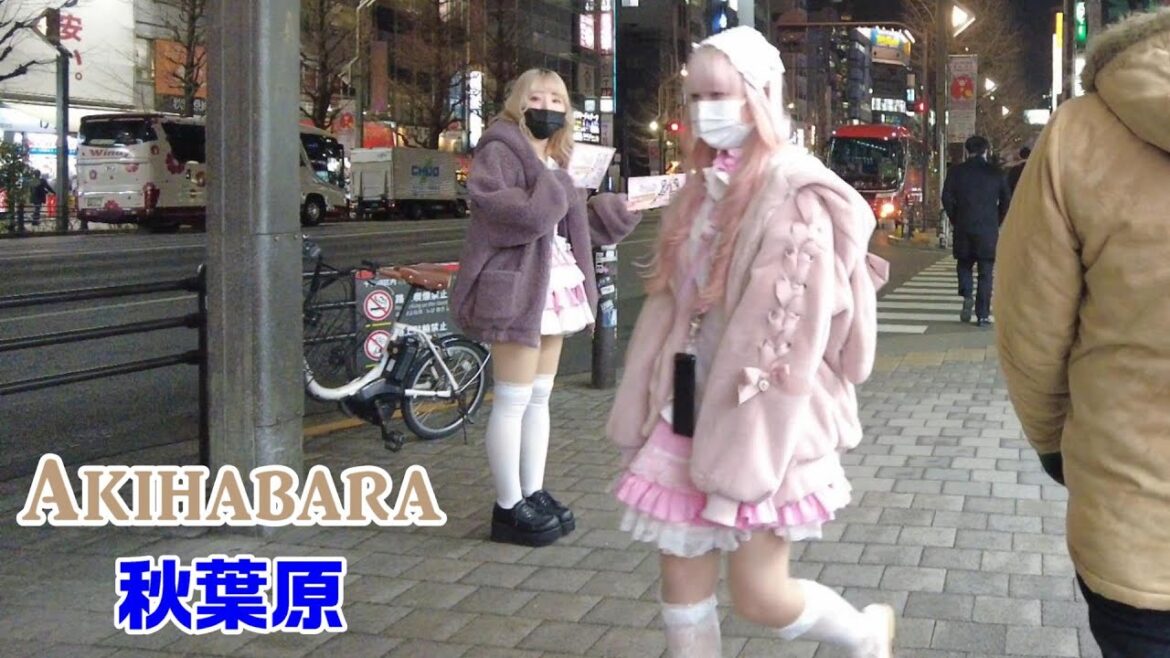 【4K Tokyo Walk】Akihabara Walk　秋葉原散歩　아키하바라　อากิฮาบาระ　　【東京散歩】2023/1/23