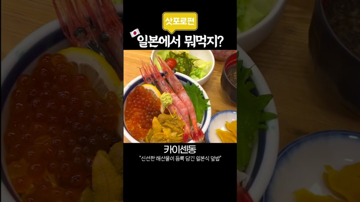 일본에서 뭐먹지? 홋카이도 삿포로편 🍣 🍙 🍛 🍢 🍦🍻