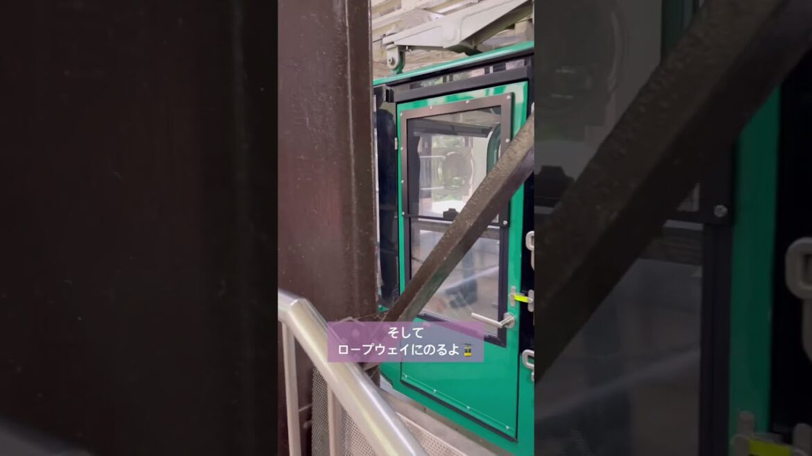 【絶景】宮島からロープウェイで弥山へ(広島) / Travel to Hiroshima Miyajima #shorts 【絶景】宮島からロープウェイで弥山へ(広島) / Travel to Hiroshima Miyajima #shorts