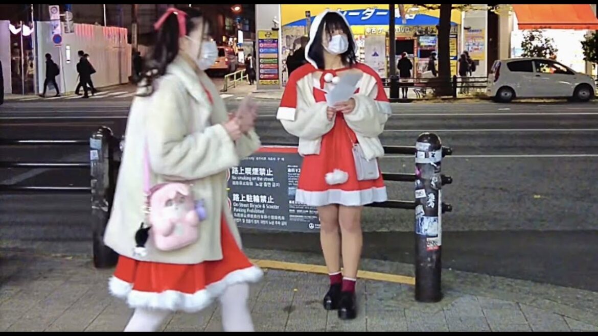 A walk in Akihabara, Tokyo on Christmas night.②