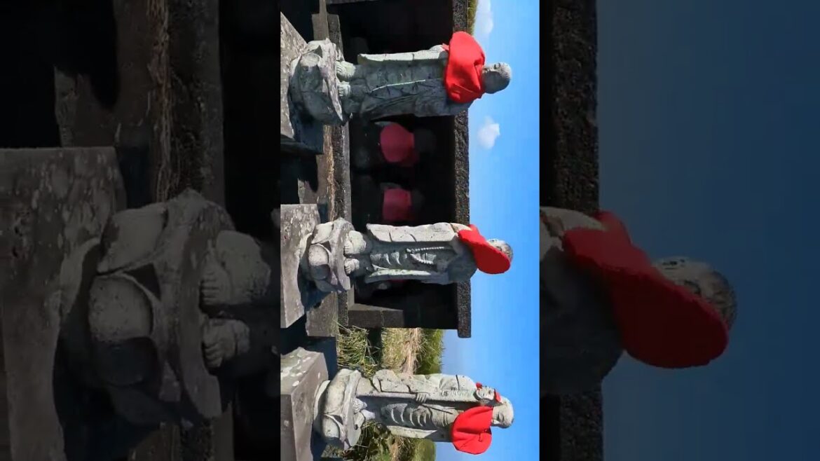 Express tour  Japan - Mt. Omuro. #japón #japan #shizuoka